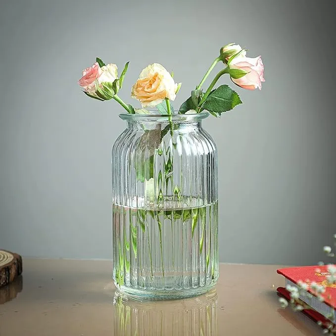 BELLU Clear Big Size Glass Vase for Flower Pot Flowers Home and Office Decor Living Room Bedroom Table Top Decorations, Gift, Home Decor, Bedroom, Office 7.5 Inch Tall