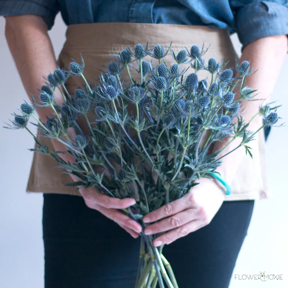 Blue Thistle Flower