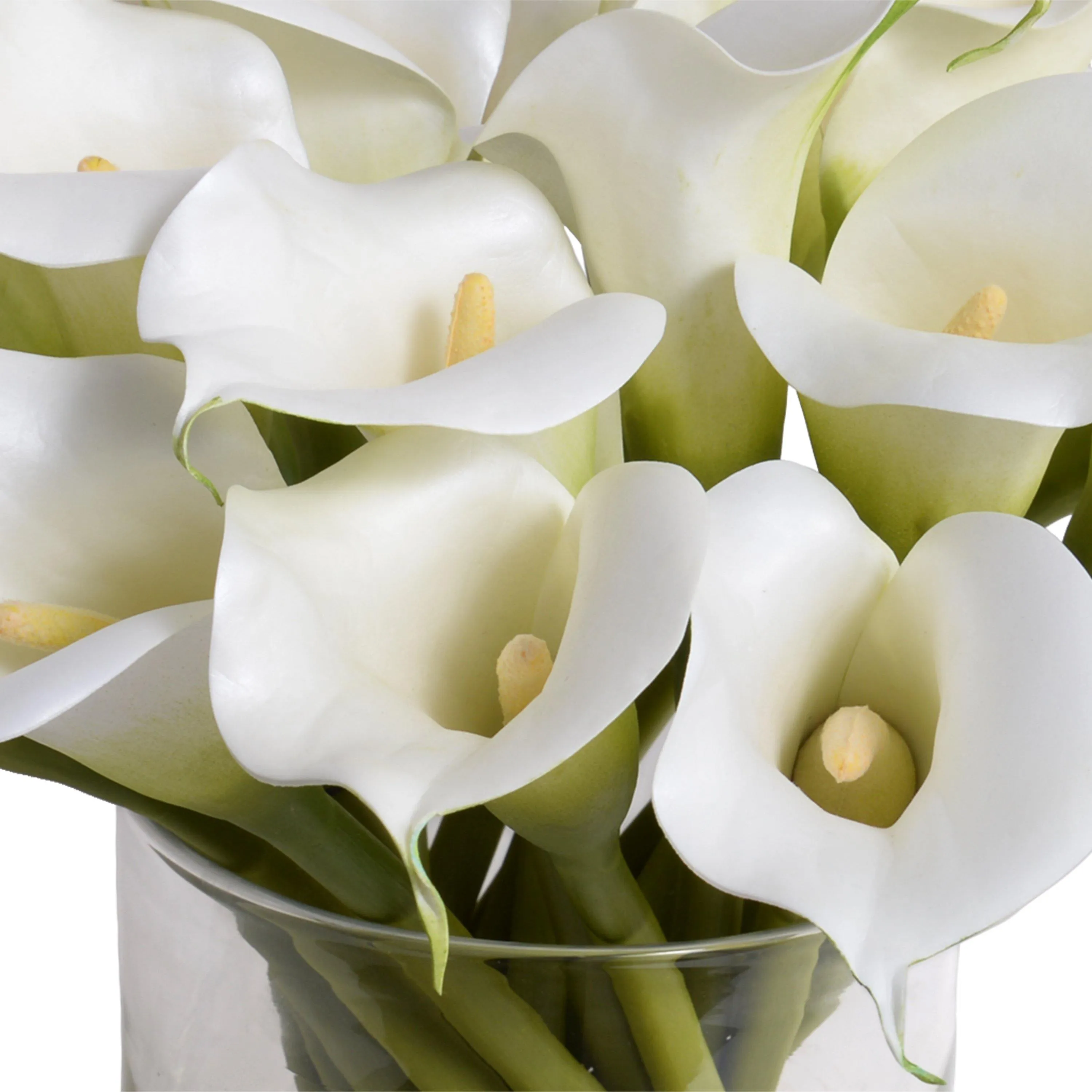 Calla Lily Stems in Glass 12"H