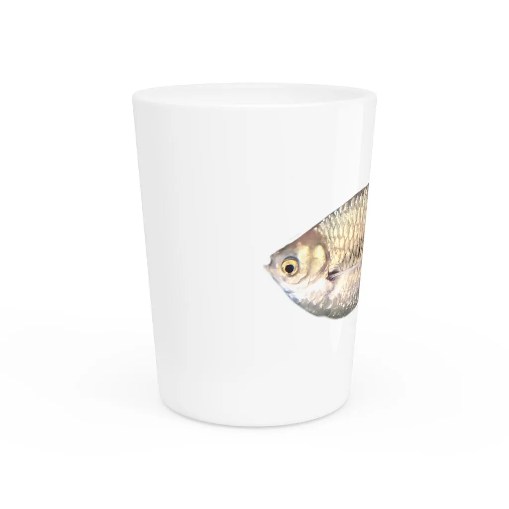 Silver Fish Shot Glass